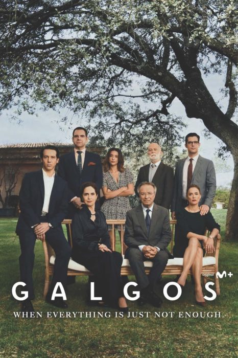 Promo-Website-Website portrait content (2)